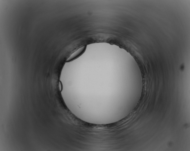 X0000102490283200808081103