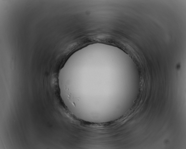 X0000102490284200808081103