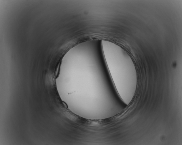 X0000102490285200808081103