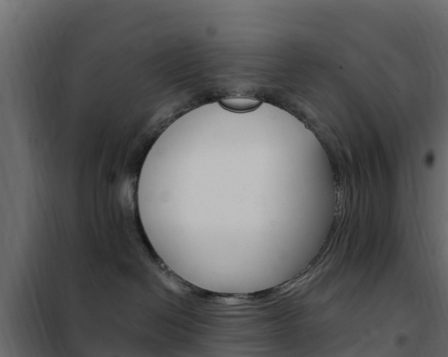 X0000102490286200808081103