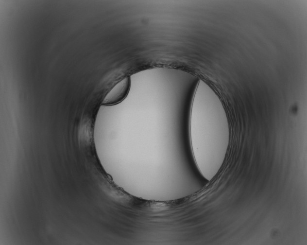 X0000102490287200808081103