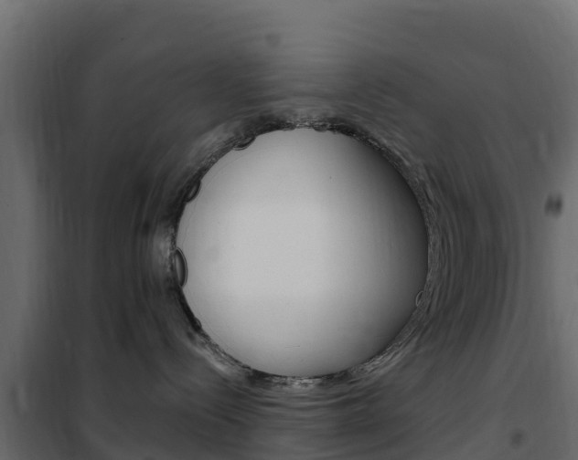 X0000102490288200808081103