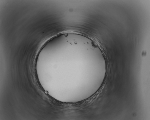 X0000102490289200808081103