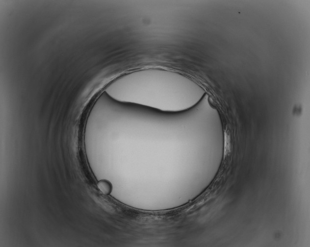 X0000102490291200808081103