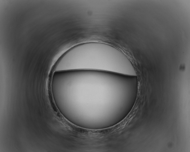 X0000102490292200808081103
