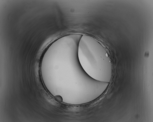 X0000102490293200808081103