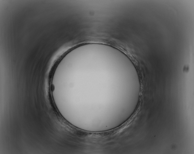 X0000102490294200808081103