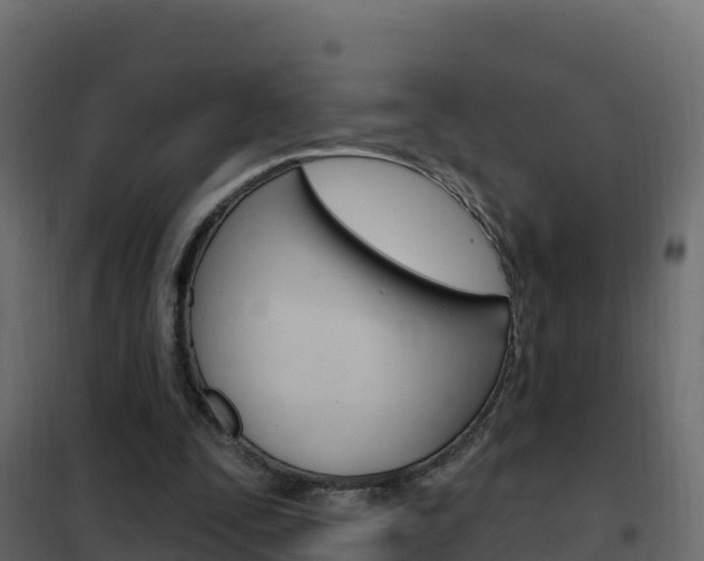 X0000102490295200808081103