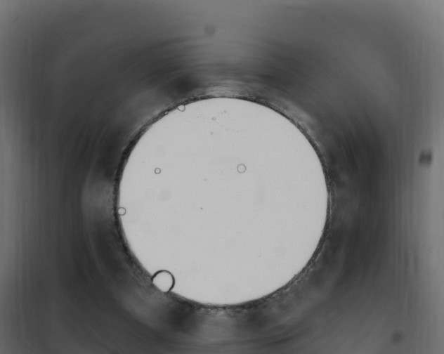 X0000102490297200808081103