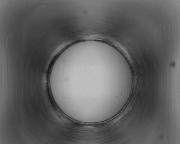 X0000102490298200808081103