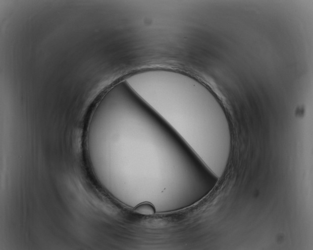 X0000102490299200808081103