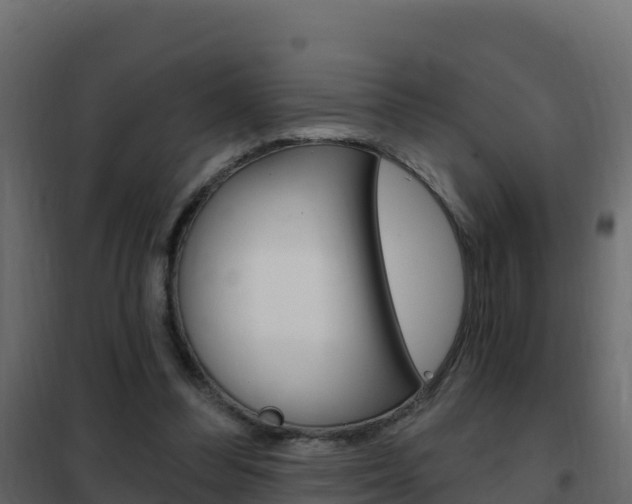X0000102490300200808081103