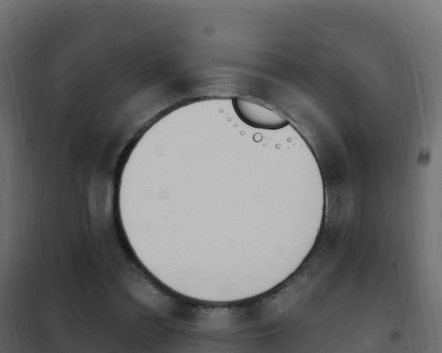 X0000102490301200808081103