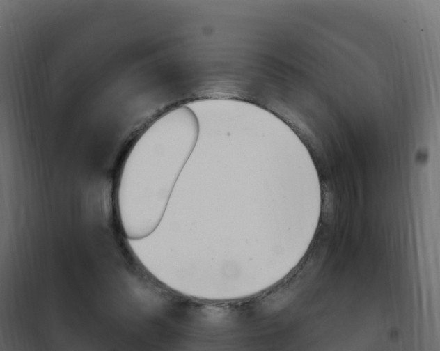 X0000102490302200808081103