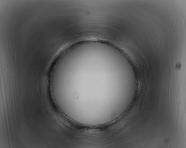 X0000102490304200808081102