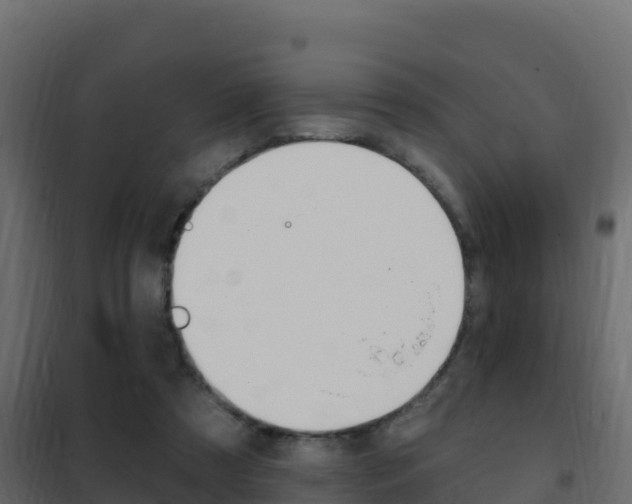 X0000102490305200808081102