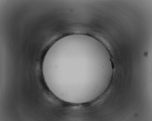 X0000102490306200808081102