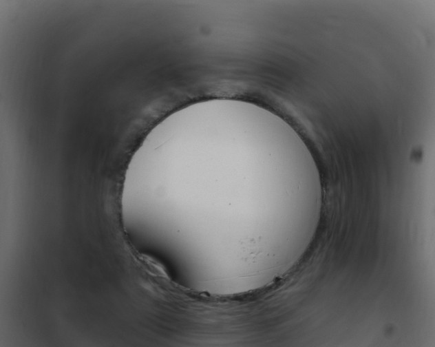 X0000102490307200808081102