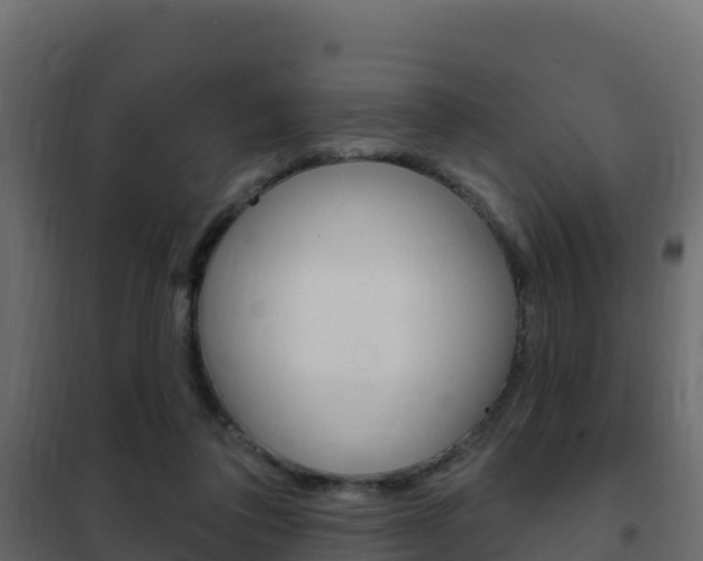 X0000102490308200808081102