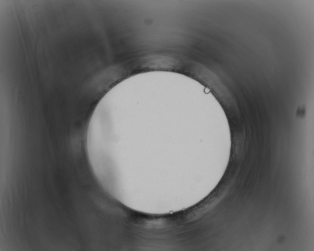 X0000102490309200808081102
