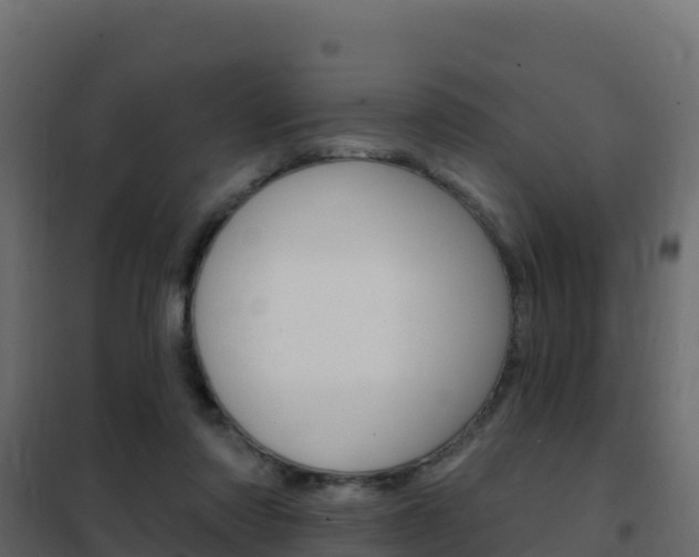 X0000102490310200808081102