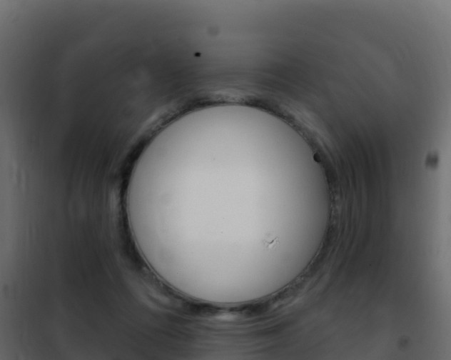 X0000102490312200808081102