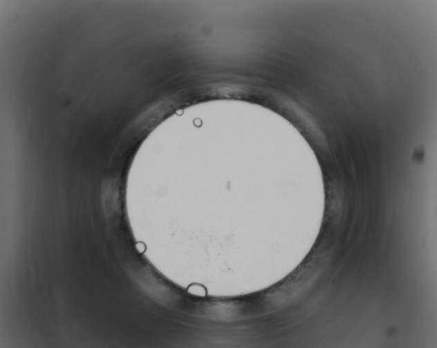 X0000102490313200808081102