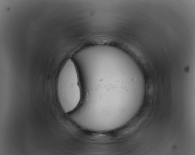 X0000102490315200808081102