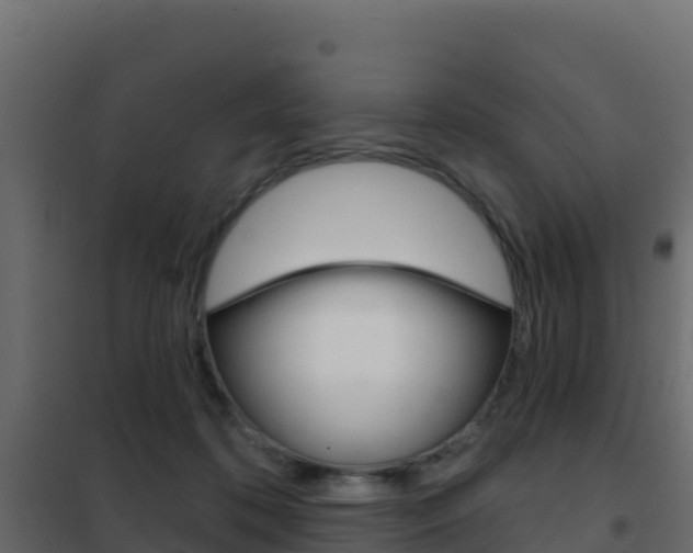 X0000102490316200808081102