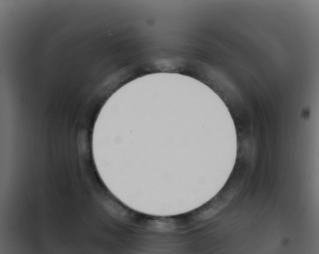 X0000102490317200808081102