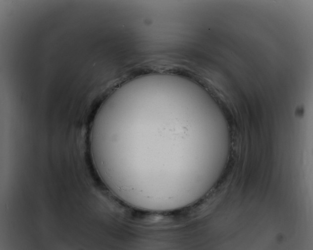 X0000102490319200808081102