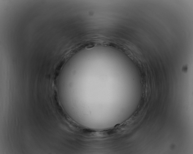 X0000102490320200808081102