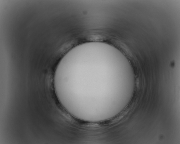 X0000102490322200808081102