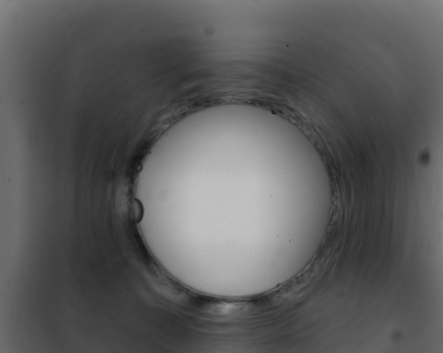 X0000102490323200808081102