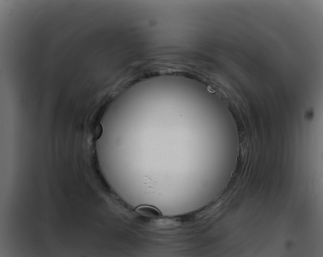 X0000102490327200808081102