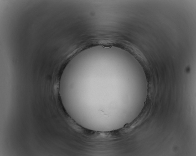 X0000102490329200808081102