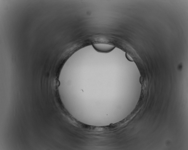 X0000102490330200808081102