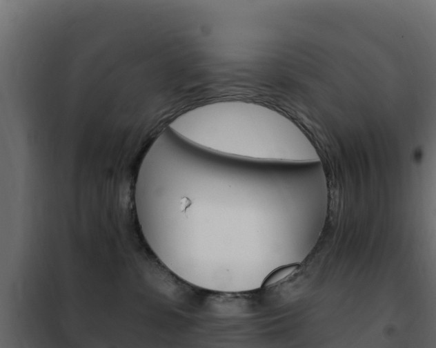 X0000102490331200808081102
