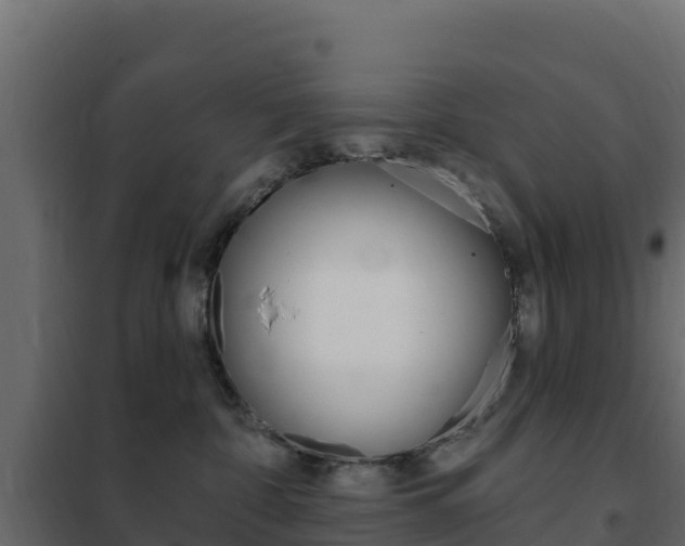 X0000102490332200808081102