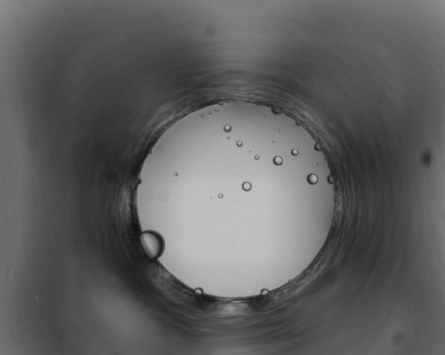 X0000102490333200808081102