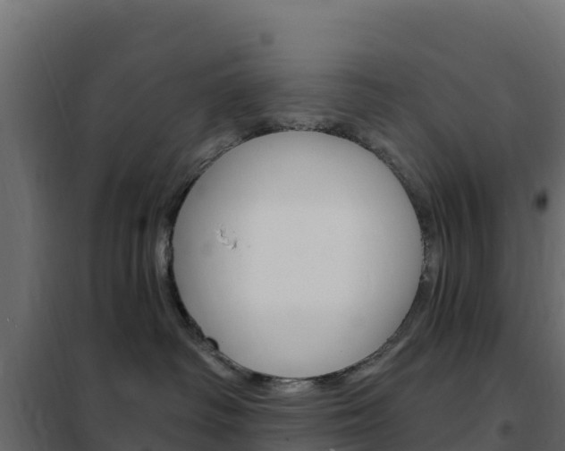 X0000102490334200808081102