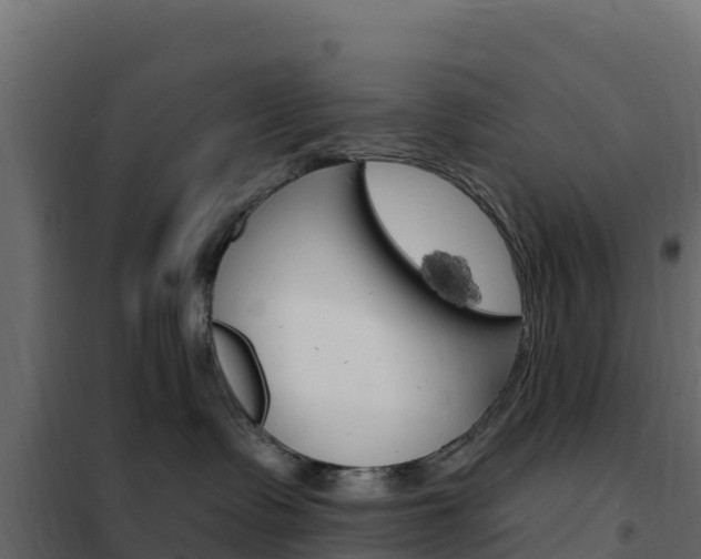 X0000102490335200808081102