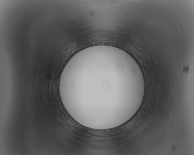 X0000102490336200808081102