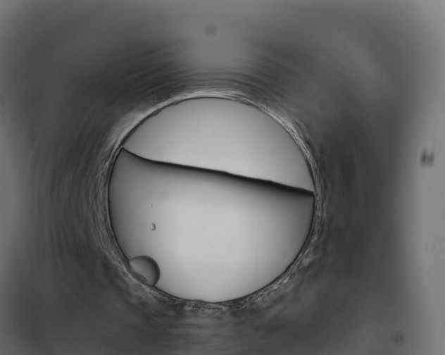 X0000102490337200808081101