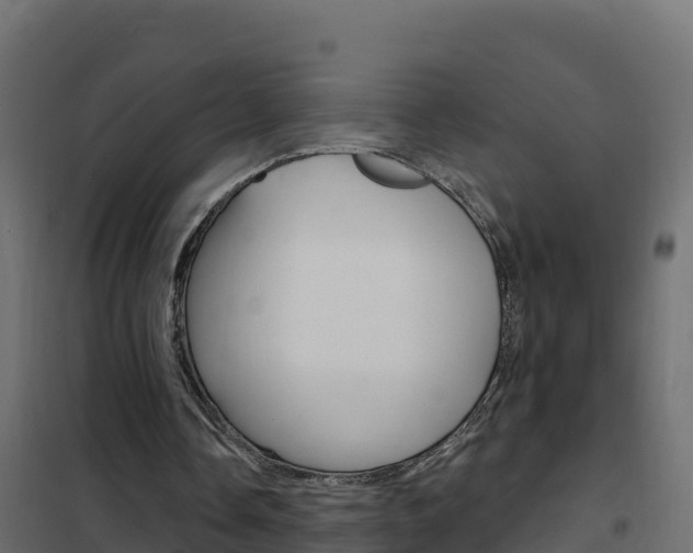 X0000102490338200808081101