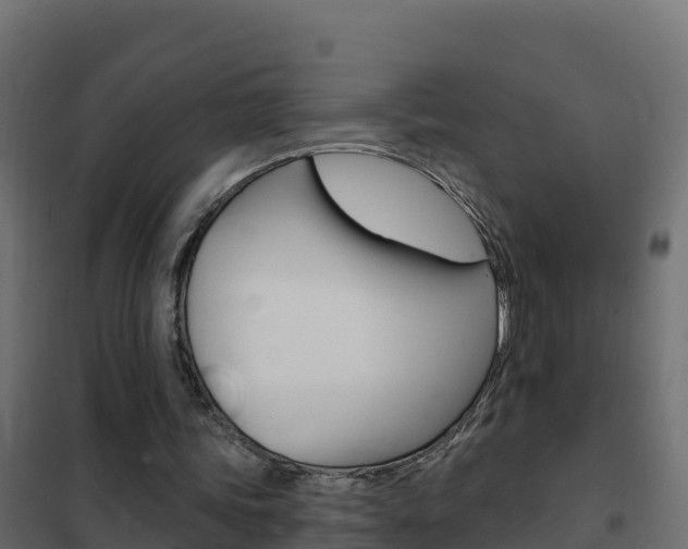 X0000102490339200808081101