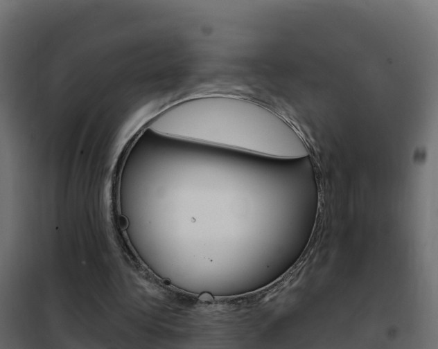 X0000102490340200808081101