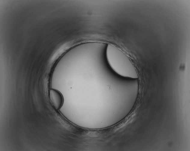 X0000102490341200808081101
