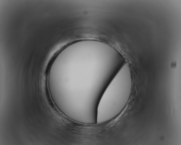 X0000102490342200808081101