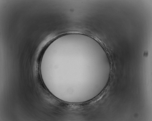 X0000102490343200808081101